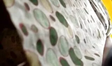 रूसी गोरा सेक्सी वीडियो फुल मूवी एचडी सांप की तरह डिक पर चलता है
