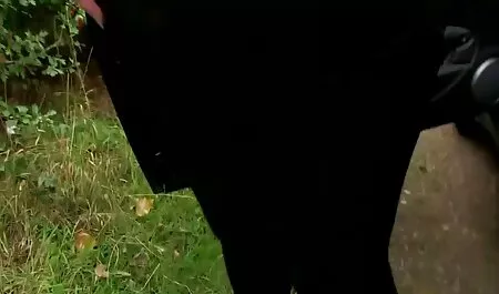 परिपक्व फूहड़ इजिदा ने अपने पुराने प्रेमी के सामने अंग्रेजी फुल सेक्सी वीडियो अपने पैर फैलाए