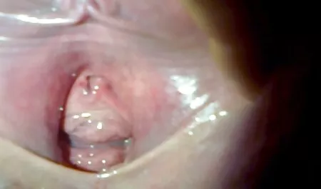 मेलिसा अपने दोस्त के सेक्स मूवी फुल प्रेमी को एक अच्छा blowjob देती है