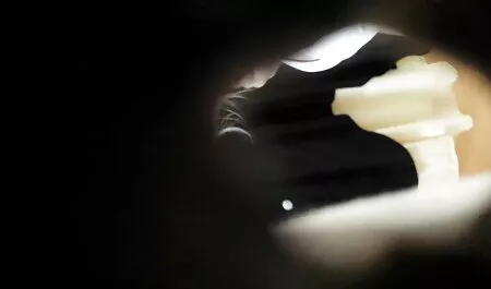 डेजी समर्स ने अपने बॉयफ्रेंड का लंड चूसा सेक्स मूवी फुल